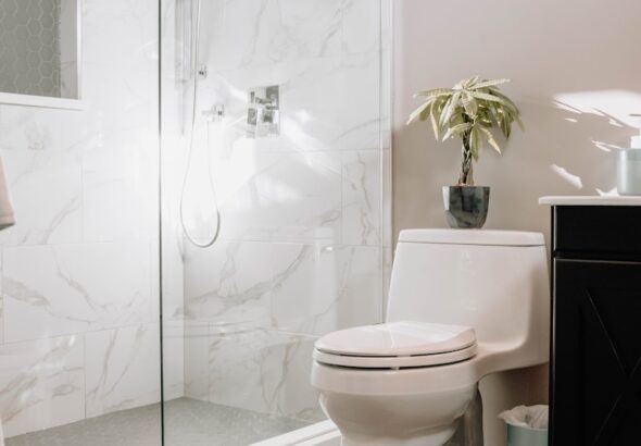 white ceramic toilet bowl beside white ceramic toilet bowl